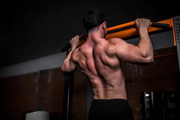 back workout pull up